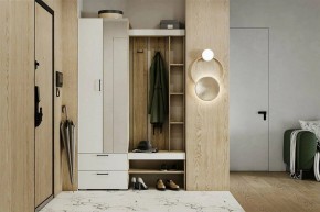 Гарнитур для прихожей Торонто в Тавде - tavda.mebel24.online | фото 5