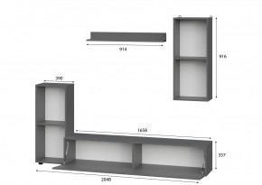 Гостиная МГС 10 (Графит) в Тавде - tavda.mebel24.online | фото 2