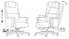 Кресло для руководителя Бюрократ _DUKE в Тавде - tavda.mebel24.online | фото 8