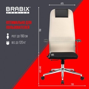 Кресло офисное BRABIX PREMIUM "Ultimate EX-801" хром, плотная двойная сетка Х2, черное/бежевое, 532919 в Тавде - tavda.mebel24.online | фото 6