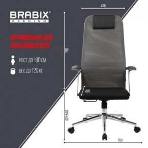 Кресло офисное BRABIX PREMIUM "Ultimate EX-801" хром, плотная двойная сетка Х2, черное/серое, 532918 в Тавде - tavda.mebel24.online | фото 5