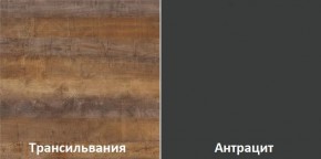 Кухонный гарнитур угловой Трансильвания 2600х1600 мм (Стол. 26 мм) в Тавде - tavda.mebel24.online | фото 3
