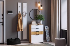 МЕБЕЛЬСОН К21 Прихожая в Тавде - tavda.mebel24.online | фото