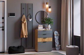 МЕБЕЛЬСОН К21 Прихожая в Тавде - tavda.mebel24.online | фото 2