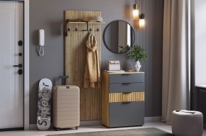 МЕБЕЛЬСОН К3 Прихожая (графит) в Тавде - tavda.mebel24.online | фото