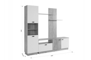 МОДИ К1 Гостиная (белое дерево) в Тавде - tavda.mebel24.online | фото 2