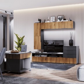 МОНИКА Гостиная (темно серый) в Тавде - tavda.mebel24.online | фото 1