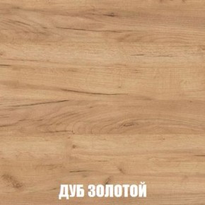 МСП-1 Шкаф 2-х створчатый (Дуб Золотой/Камень темный) в Тавде - tavda.mebel24.online | фото 4