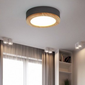 Накладной светильник Imperiumloft Wudda Серый WUDDA01 в Тавде - tavda.mebel24.online | фото 3