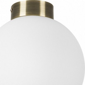 Накладной светильник Lightstar Globo 812021 в Тавде - tavda.mebel24.online | фото 3