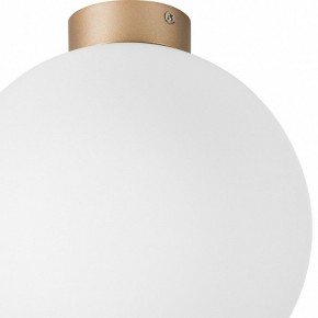 Накладной светильник Lightstar Globo 812033 в Тавде - tavda.mebel24.online | фото 2