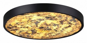 Накладной светильник Odeon Light Bergi 5064/40L в Тавде - tavda.mebel24.online | фото 2