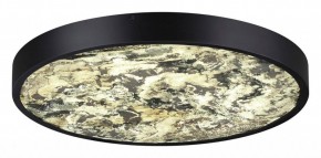 Накладной светильник Odeon Light Bergi 5064/40L в Тавде - tavda.mebel24.online | фото 3