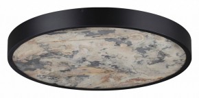 Накладной светильник Odeon Light Bergi 5064/40L в Тавде - tavda.mebel24.online | фото 6
