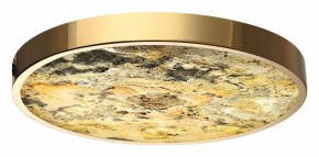 Накладной светильник Odeon Light Bergi 5079/40L в Тавде - tavda.mebel24.online | фото 2