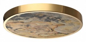 Накладной светильник Odeon Light Bergi 5079/40L в Тавде - tavda.mebel24.online | фото 4