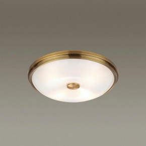 Накладной светильник Odeon Light Pelow 4956/4 в Тавде - tavda.mebel24.online | фото 2