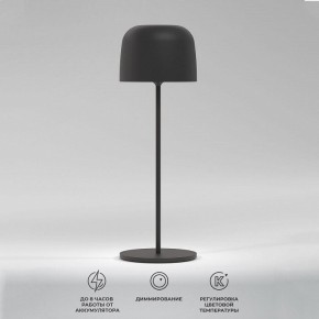 Настольная лампа декоративная Elektrostandard Bitty a069002 в Тавде - tavda.mebel24.online | фото 2