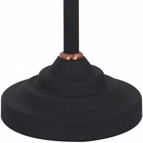 Настольная лампа офисная Arte Lamp Braccio A2054LT-1BK в Тавде - tavda.mebel24.online | фото 4