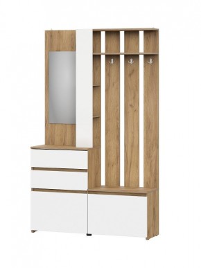 НЕКСТ 1 Вешалка с зеркалом + Шкаф 2-х ств. с ящиками в Тавде - tavda.mebel24.online | фото 4