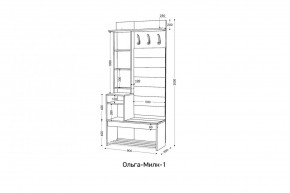 ОЛЬГА-МИЛК Прихожая (модульная) в Тавде - tavda.mebel24.online | фото 2