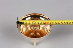 Подвесная люстра Aployt Daniele APL.701.03.12 в Тавде - tavda.mebel24.online | фото 6