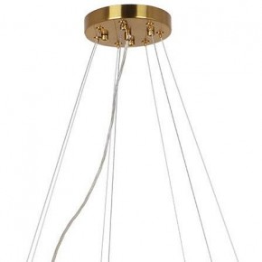 Подвесная люстра Arte Lamp Alya A1053SP-14PB в Тавде - tavda.mebel24.online | фото 3