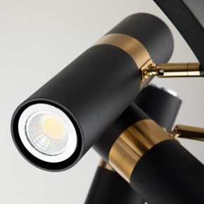 Подвесная люстра Favourite Light point 2997-9P в Тавде - tavda.mebel24.online | фото 5