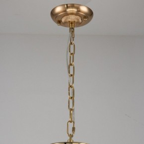 Подвесная люстра Favourite Rocca 2689-9P в Тавде - tavda.mebel24.online | фото 2