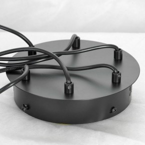 Подвесная люстра Lussole Bend LSP-7069 в Тавде - tavda.mebel24.online | фото 6