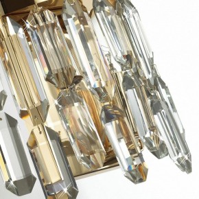 Подвесная люстра Odeon Light Dakisa 4986/12 в Тавде - tavda.mebel24.online | фото 8