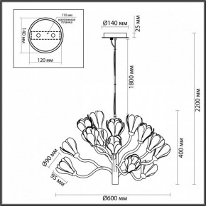 Подвесная люстра Odeon Light Gardi 5090/15 в Тавде - tavda.mebel24.online | фото 6