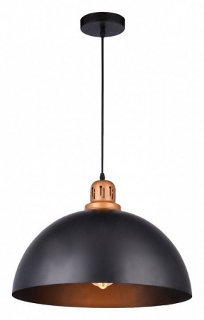 Подвесной светильник Arte Lamp Eurica A4249SP-1BK в Тавде - tavda.mebel24.online | фото 2