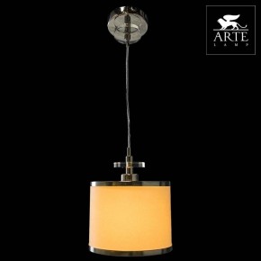 Подвесной светильник Arte Lamp Furore A3990SP-1CC в Тавде - tavda.mebel24.online | фото 3