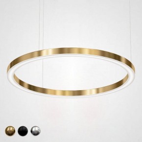 Подвесной светильник Imperiumloft Light Ring Horizontal 40.1454-120 в Тавде - tavda.mebel24.online | фото