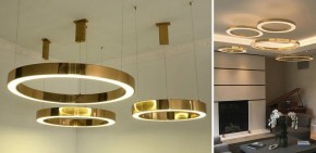 Подвесной светильник Imperiumloft Light Ring Horizontal 40.1454-50 в Тавде - tavda.mebel24.online | фото 2