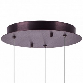 Подвесной светильник Lightstar Caramello 796139 в Тавде - tavda.mebel24.online | фото 13