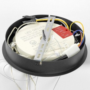 Подвесной светильник Lussole Hale LSP-7380 в Тавде - tavda.mebel24.online | фото 6