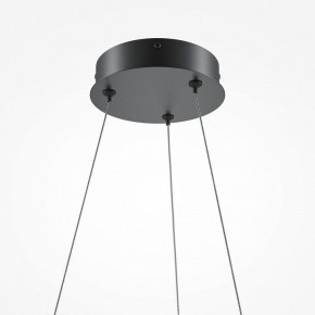Подвесной светильник Maytoni Curve MOD241PL-L60BK в Тавде - tavda.mebel24.online | фото 6