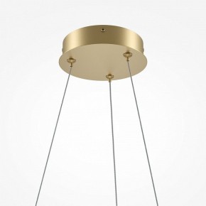 Подвесной светильник Maytoni Curve MOD241PL-L60BSK в Тавде - tavda.mebel24.online | фото 6