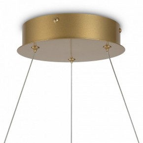 Подвесной светильник Maytoni Halo MOD100PL-L88BSK1 в Тавде - tavda.mebel24.online | фото 6