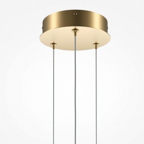 Подвесной светильник Maytoni Halo MOD247PL-L49BSK в Тавде - tavda.mebel24.online | фото 6