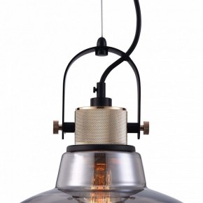 Подвесной светильник Maytoni Irving T163PL-01C в Тавде - tavda.mebel24.online | фото 9