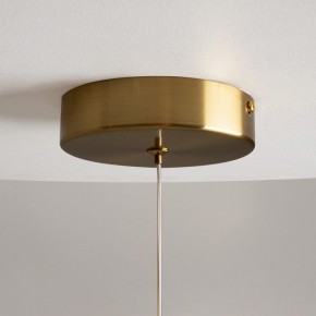 Подвесной светильник Maytoni Loop MOD290PL-L23BS3K в Тавде - tavda.mebel24.online | фото 9