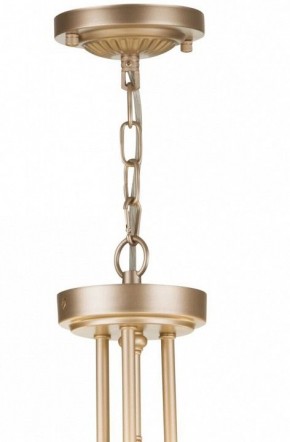 Подвесной светильник Maytoni Roma ARM006PL-06G в Тавде - tavda.mebel24.online | фото 5