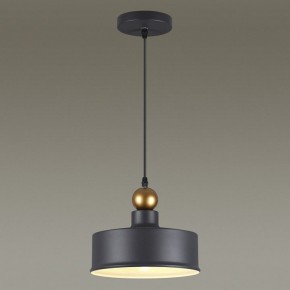 Подвесной светильник Odeon Light Bolli 4088/1 в Тавде - tavda.mebel24.online | фото 4