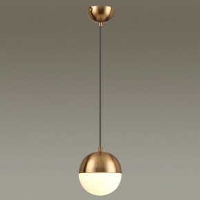 Подвесной светильник Odeon Light Pinga 4960/1 в Тавде - tavda.mebel24.online | фото 2