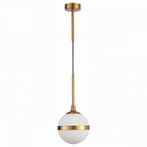Подвесной светильник ST-Luce Arbe SL1157.303.01 в Тавде - tavda.mebel24.online | фото 2