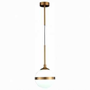 Подвесной светильник ST-Luce Arbe SL1157.303.01 в Тавде - tavda.mebel24.online | фото 3