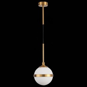 Подвесной светильник ST-Luce Arbe SL1157.303.01 в Тавде - tavda.mebel24.online | фото 4